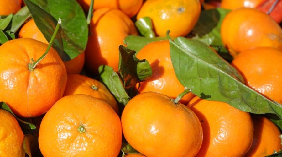 Fight the flu with this easy recipe using mandarins